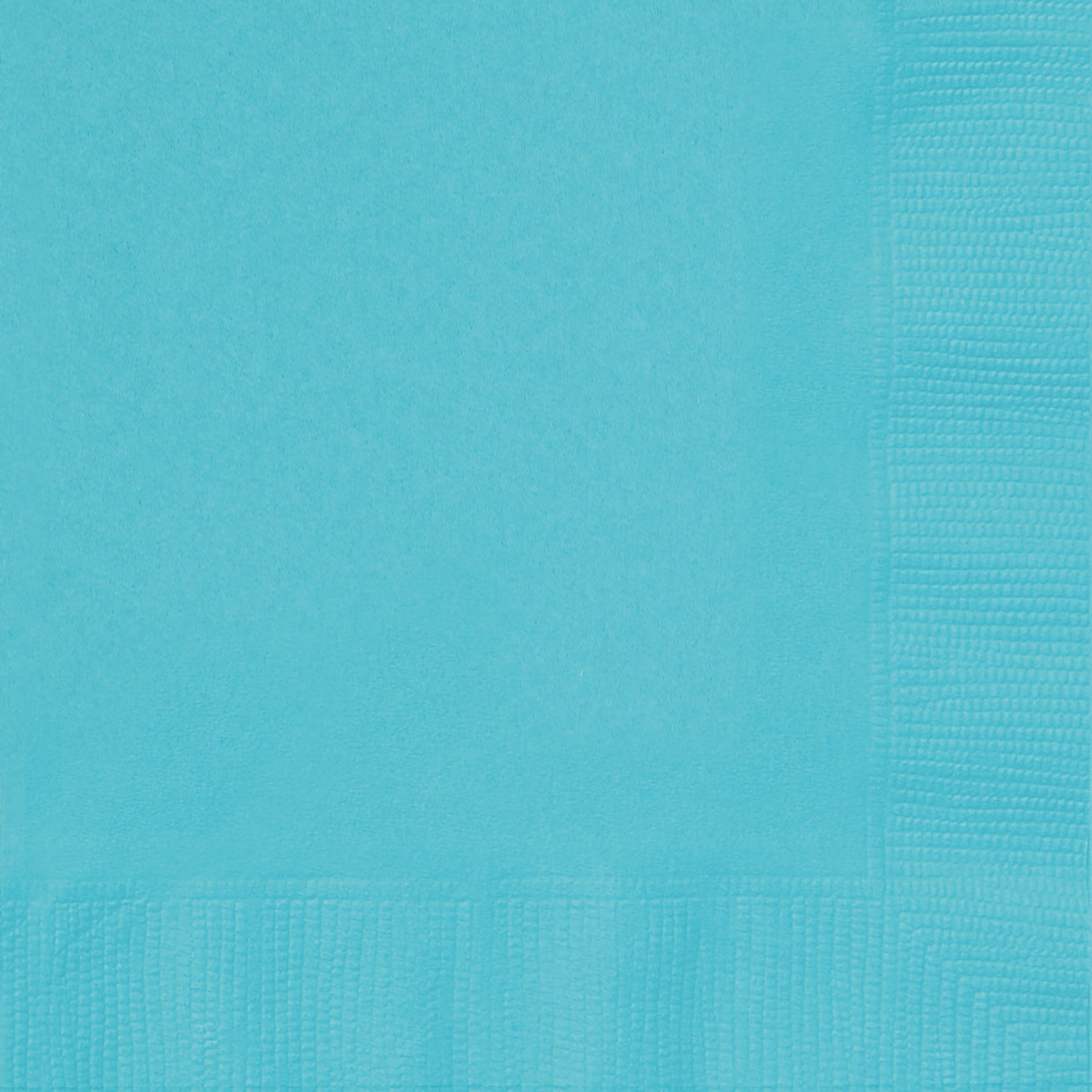2-Ply Dinner Napkin Teal 40ct