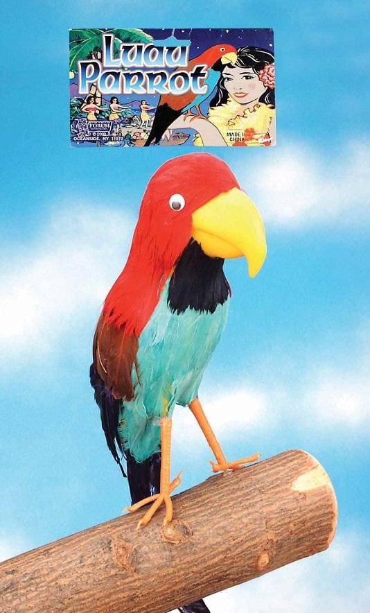 Pirate Parrot on your shoulder