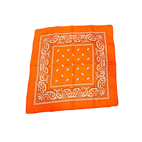 Bandana Paisley Orange 20 x 20in