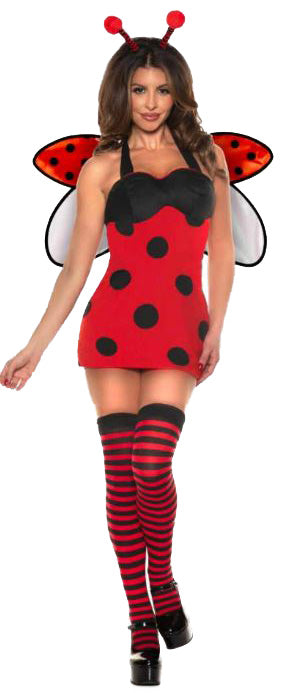 Lady Bug Adult Costume