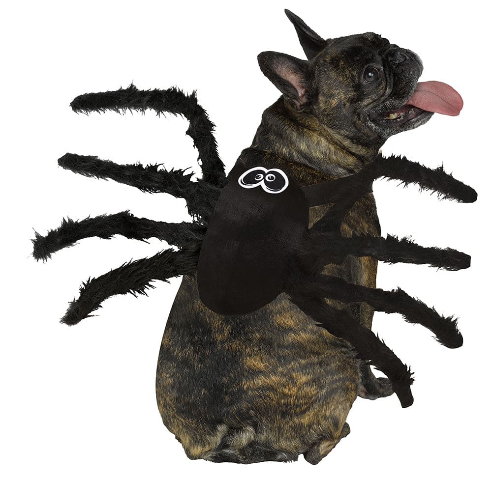 Spider Pet Costume