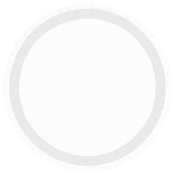 Frosty White 10.5in Round Banquet Paper Plates 20 Ct