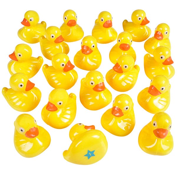 Plastic 2.5in Duck Matching Game 20ct