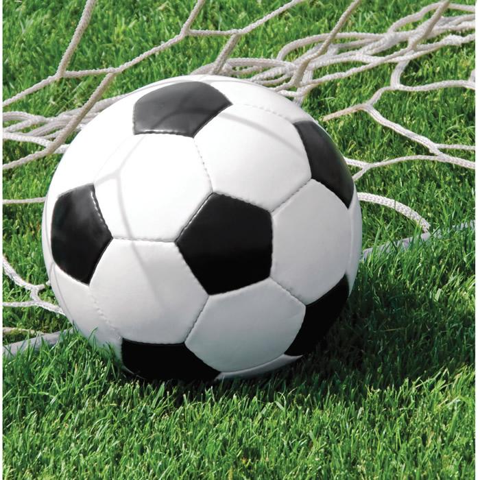 Sports Fanatics Soccer Luncheon Napkins 16ct