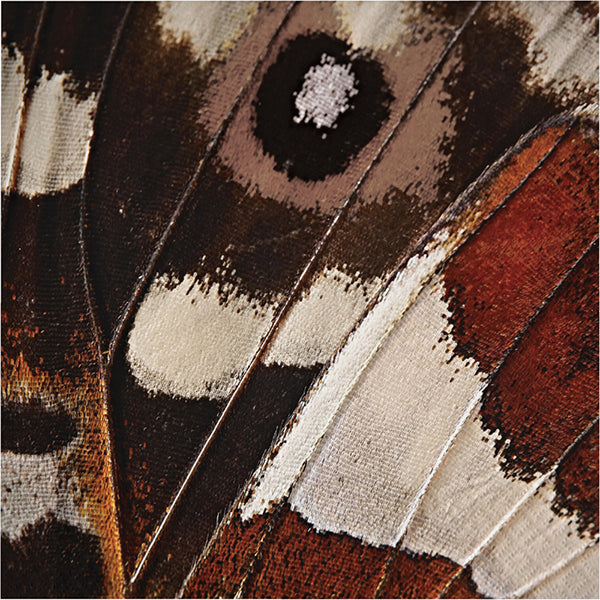 Entomount Gossmir Luncheon Napkins 16ct