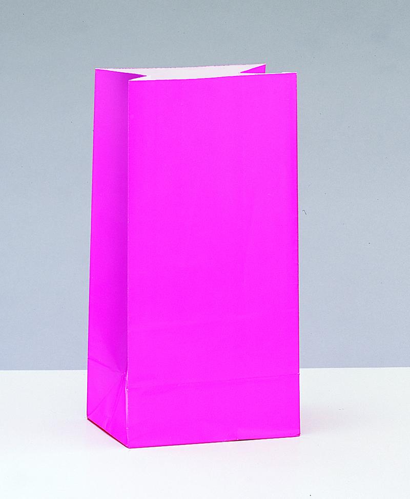 Hot Pink Paper Party Bags 12ct