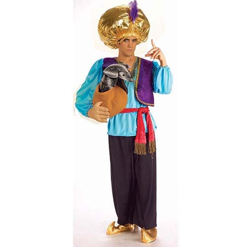 Indian Snake Charmer Adult Costume