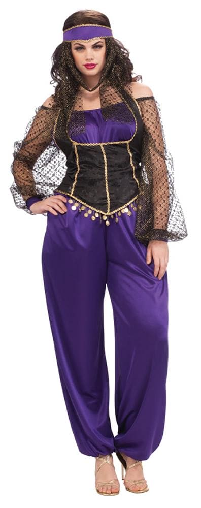 Harem Lady Full Figured Costume