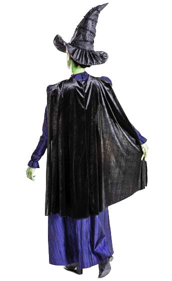 Elphaba Adult Deluxe Costume
