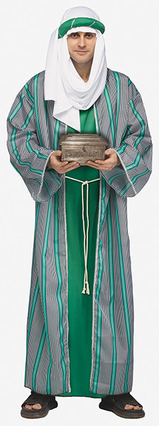 3 Wise Men Adult Green Costume