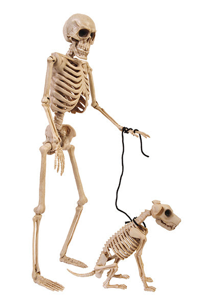 Skeleton Walker 14" and Pet
