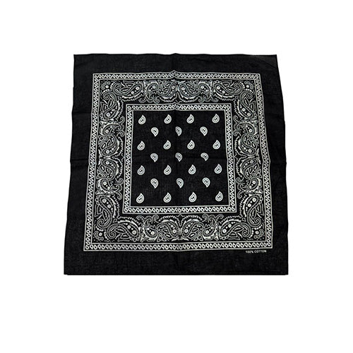 Bandana Paisley Black 20 x 20in