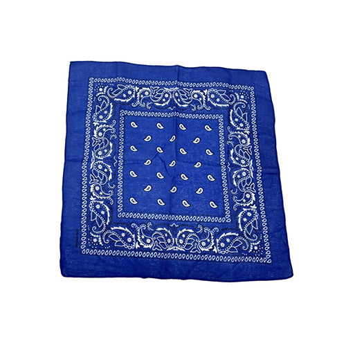 Bandana Paisley Blue 20 x 20in