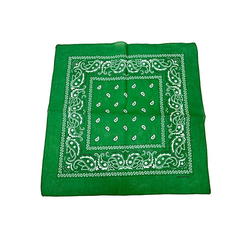 Bandana Paisley Green 20 x 20in