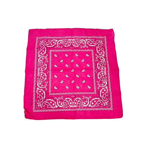Bandana Paisley Pink 20 x 20in