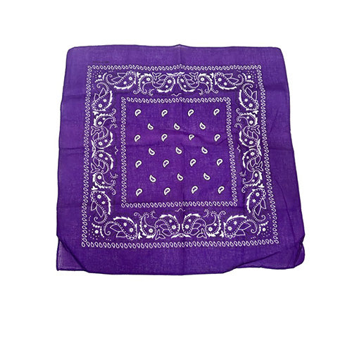 Bandana Paisley Purple 20 x 20in