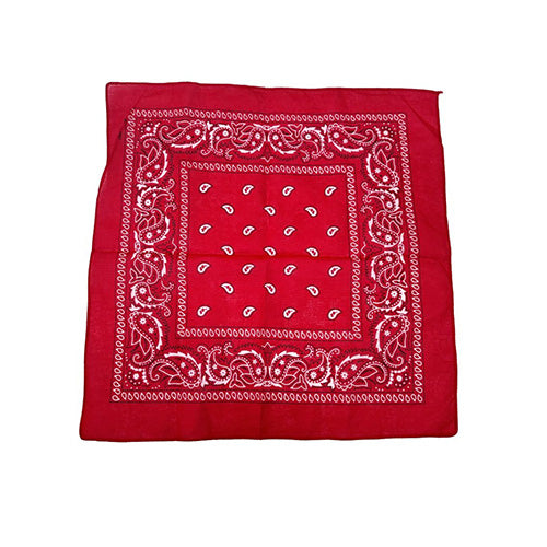 Bandana Paisley Red 20 x 20in