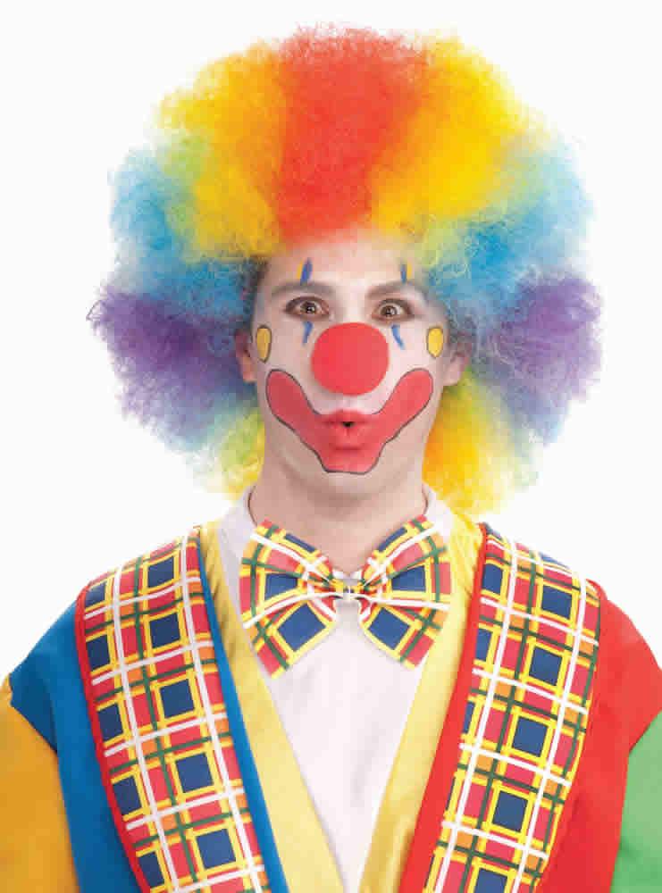 Deluxe Colorful Clown Afro Wig