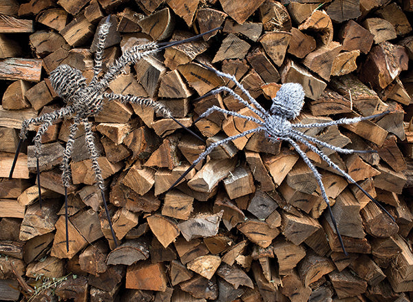 50" Fuzzy Posable Legs Spider Grey or Brown