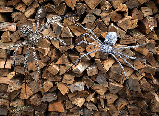 50" Fuzzy Posable Legs Spider Grey or Brown