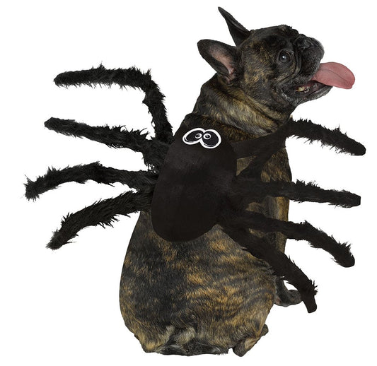 Spider Pet Costume