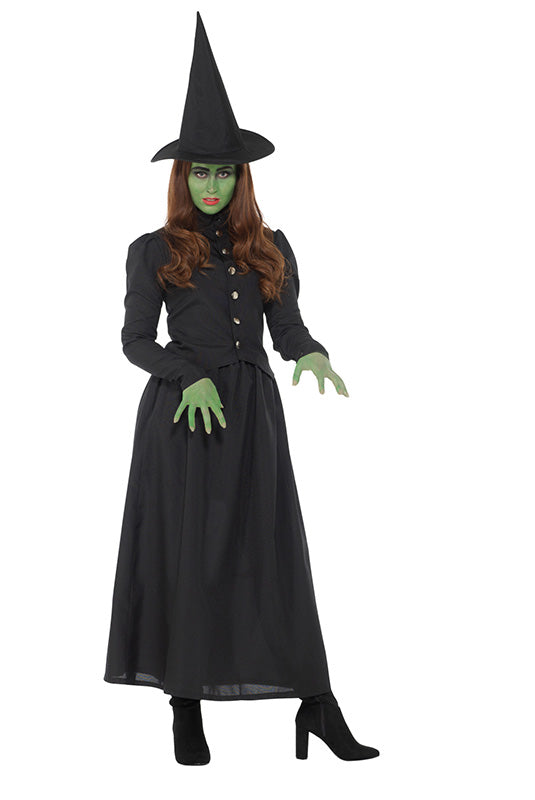 Wicked Witch Adult Costume