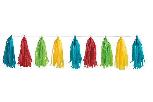 Rainbow Tissue Tassel Garland