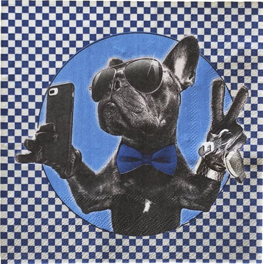 Cool 16th Bulldog-Boy Luncheon Napkins 16ct