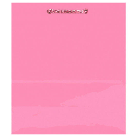 Solid Glossy New Pink Medium Bag 9 x 8 x 4
