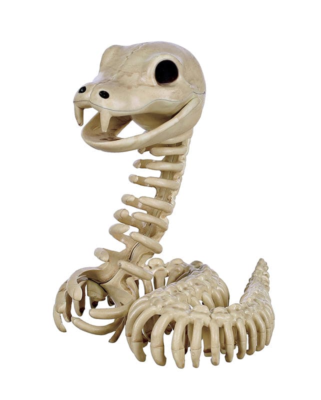 Skeleton Snake