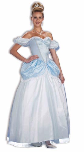 StoryBook Princess Adult Costume