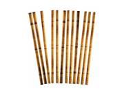 Hawaiian Tropical Luau Bamboo Printed Straws