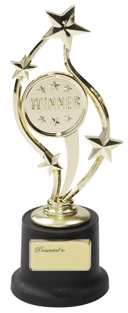 Winner Trophy Small