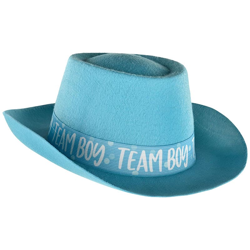 Gender Reveal Felt Hat - Boy