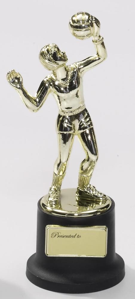 Volleyball Trophy Small