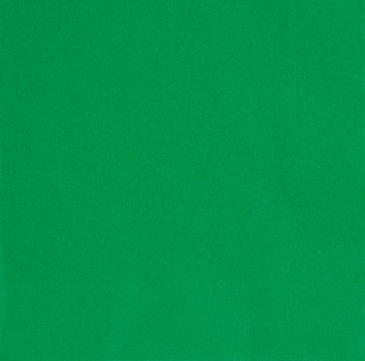 Green Big Pack Lunch Napkins 100ct