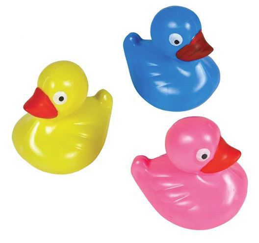 Floating Plastic Ducks 12ct