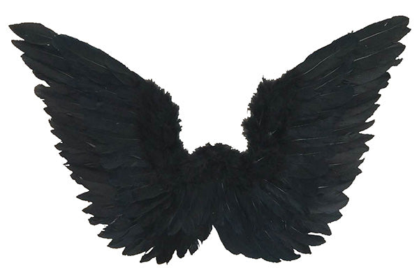 Deluxe Black Raven Wings
