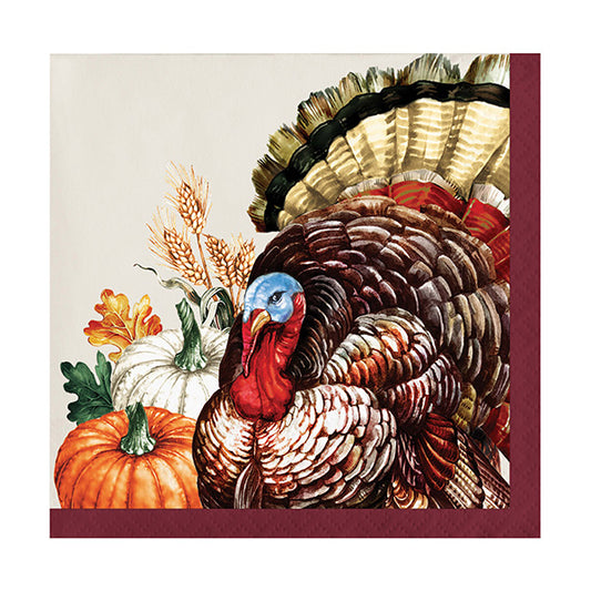 Vintage Turkey Beverage Napkins 16ct