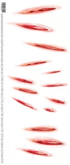 Trauma Tattoo FX Claw Marks