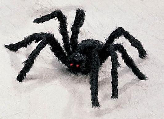 Black Hairy Spider - Small