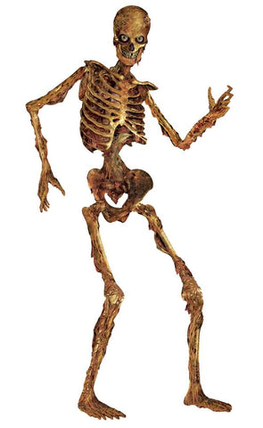 Halloween Jointed Carboard 6ft Skeleton