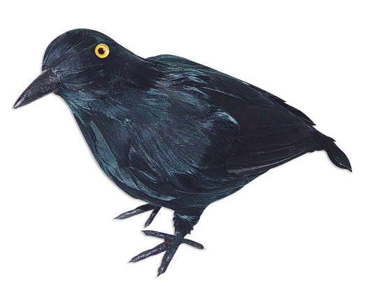 Lifesize Realistic Crow - Wings In