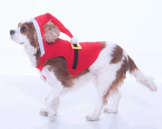 Santa Suit Pet Costume