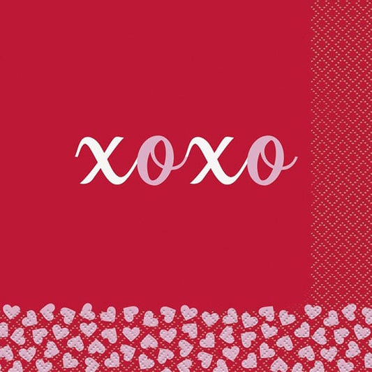 Velentine's Day Luncheon Napkins 16 Ct