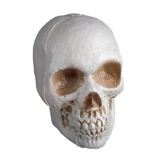 Skull Plastic Halloween Decoration 5.5in