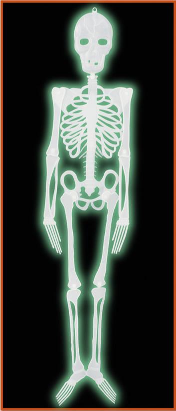 Plastic Nite-Glo 4ft Skeleton