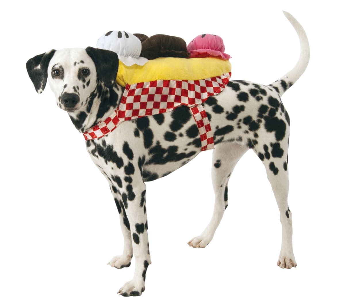 Batman Scarecrow Adult Costume