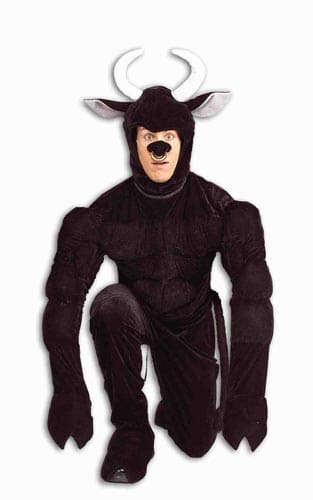 Toro the Terri-Bull Costume