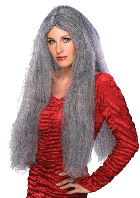 28" Long Grey Hair Adult Wig